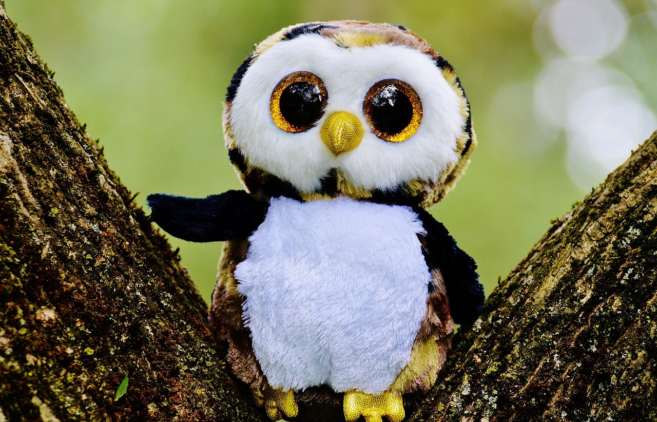 Cute Owl in Love